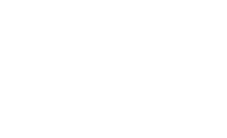 FESTINA